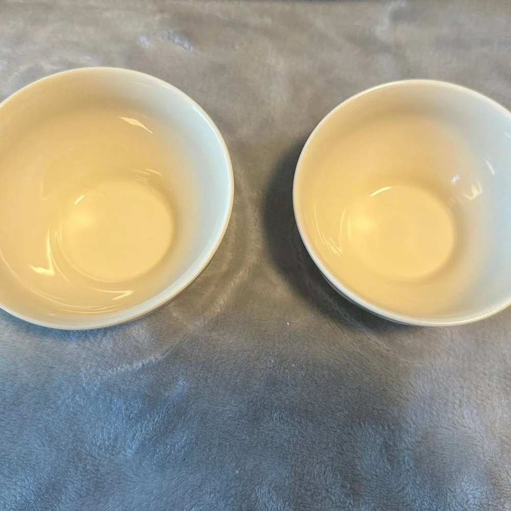 Franciscan Desert, Rose, Earthenware Set‎ of 2 Tea Cups And Saucers